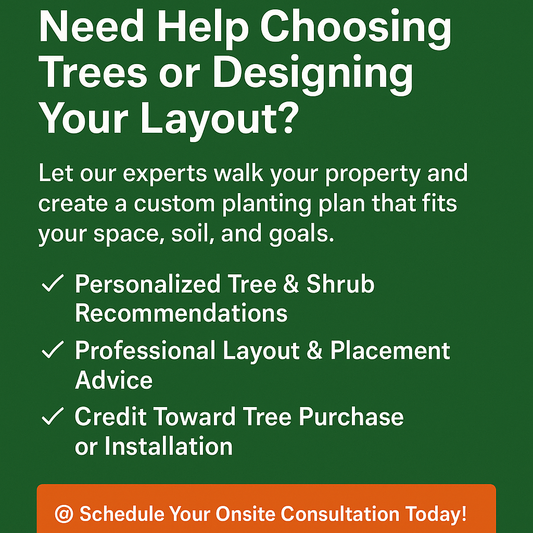 Onsite Landscape Design Service - Georgia